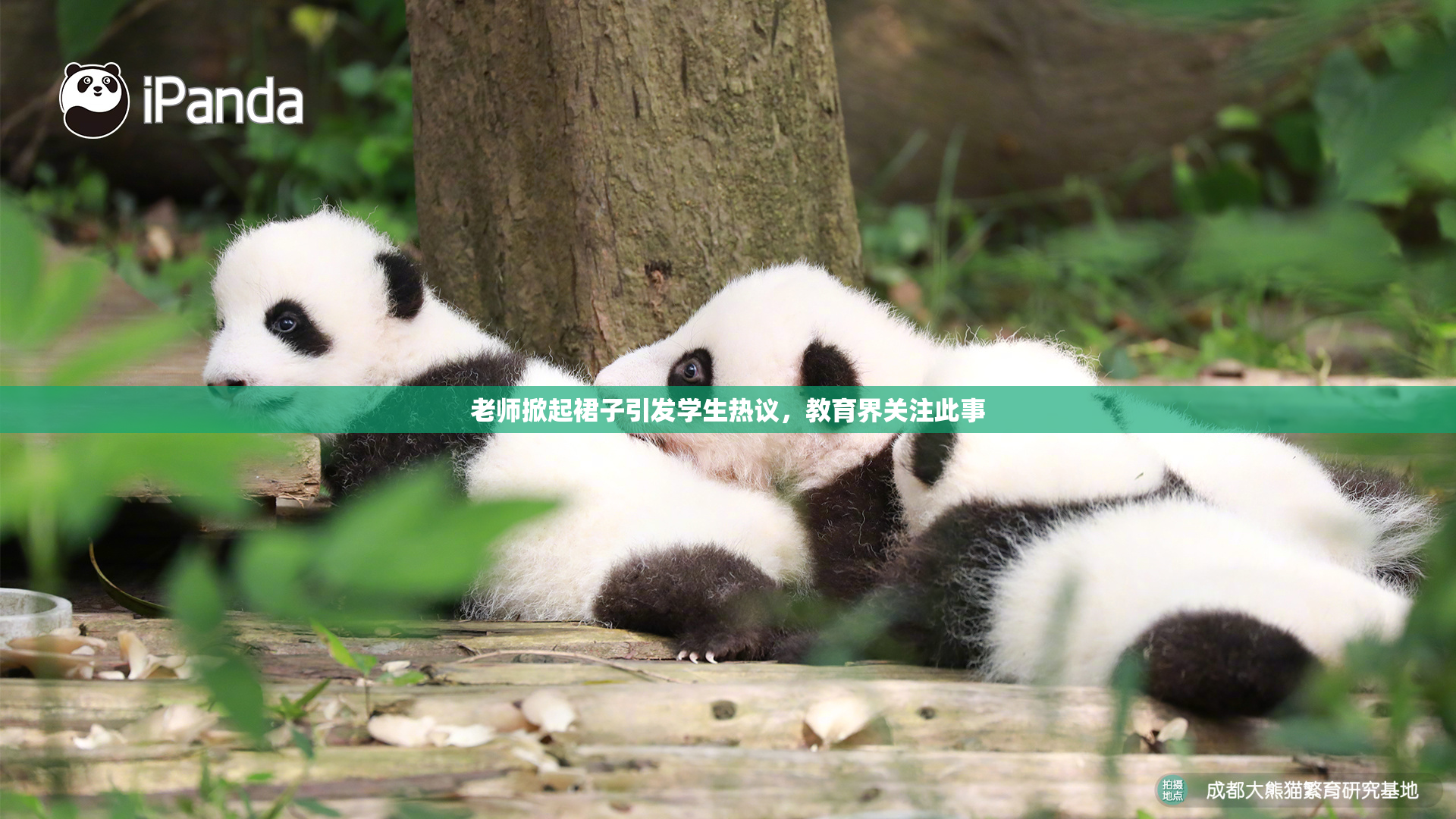 老师掀起裙子引发学生热议，教育界关注此事