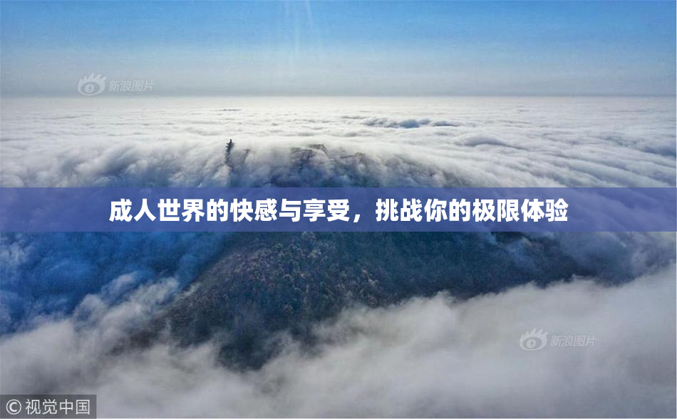 成人世界的快感与享受，挑战你的极限体验