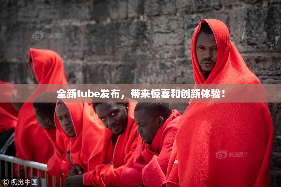 全新tube发布，带来惊喜和创新体验！