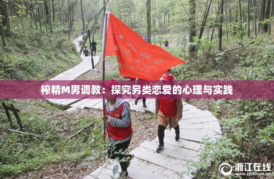 榨精M男调教：探究另类恋爱的心理与实践