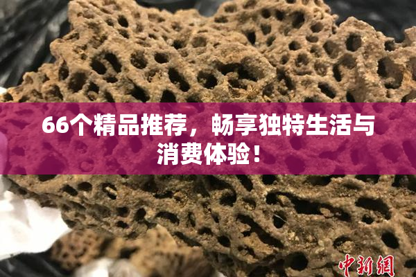 66个精品推荐，畅享独特生活与消费体验！