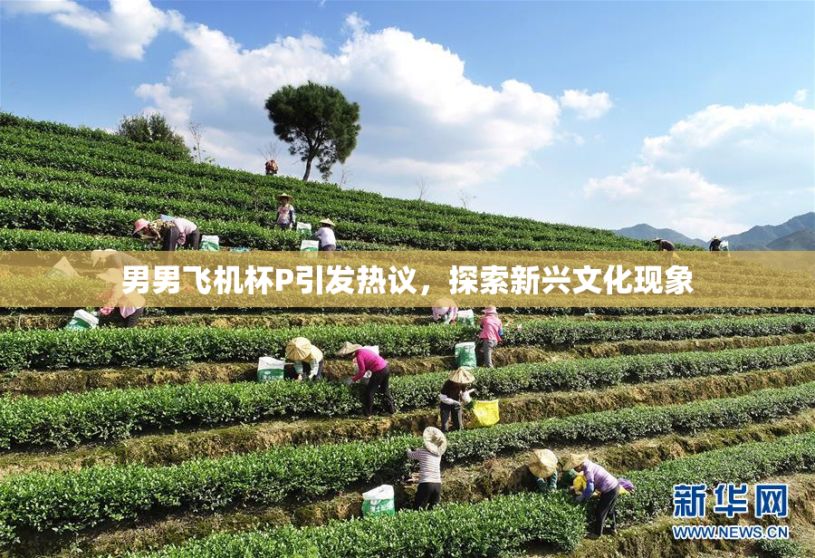 男男飞机杯P引发热议，探索新兴文化现象