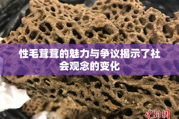 性毛茸茸的魅力与争议揭示了社会观念的变化