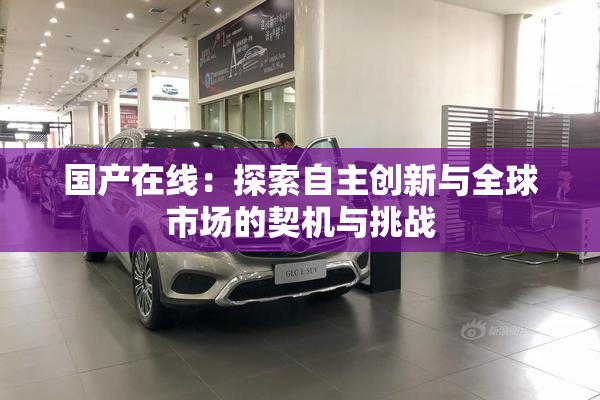 国产在线：探索自主创新与全球市场的契机与挑战