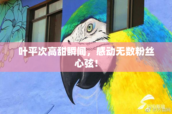 叶平次高甜瞬间，感动无数粉丝心弦！