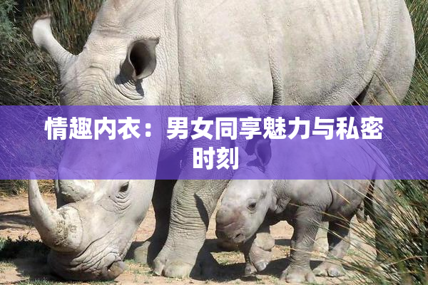 情趣内衣：男女同享魅力与私密时刻