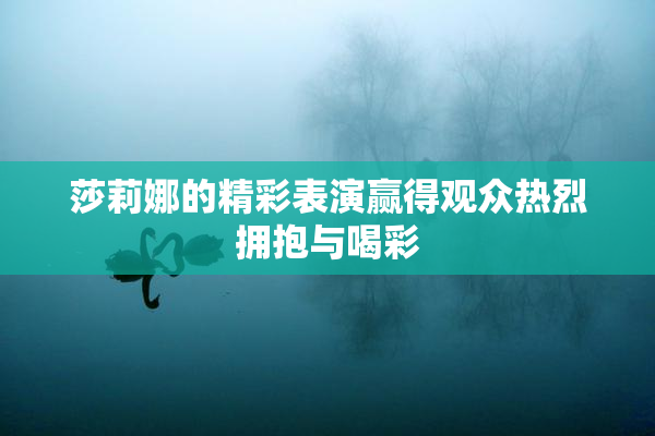 莎莉娜的精彩表演赢得观众热烈拥抱与喝彩