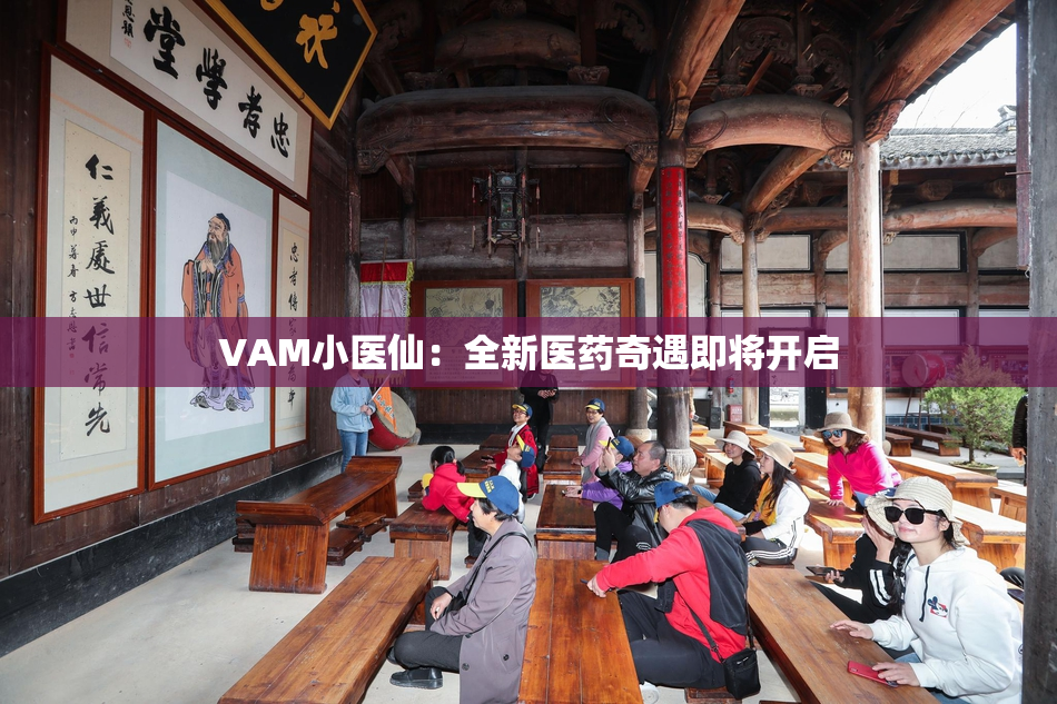 VAM小医仙：全新医药奇遇即将开启