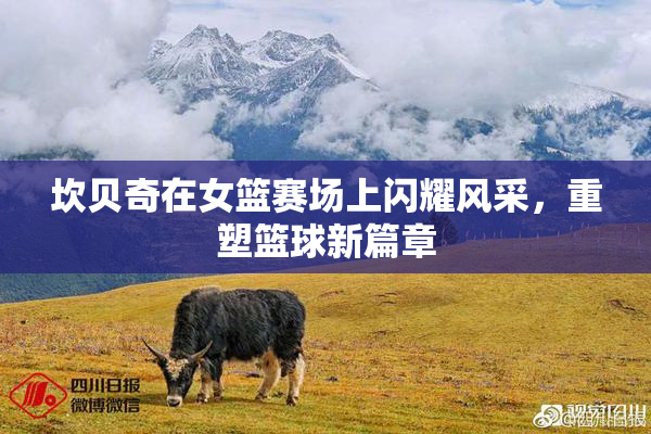 坎贝奇在女篮赛场上闪耀风采，重塑篮球新篇章