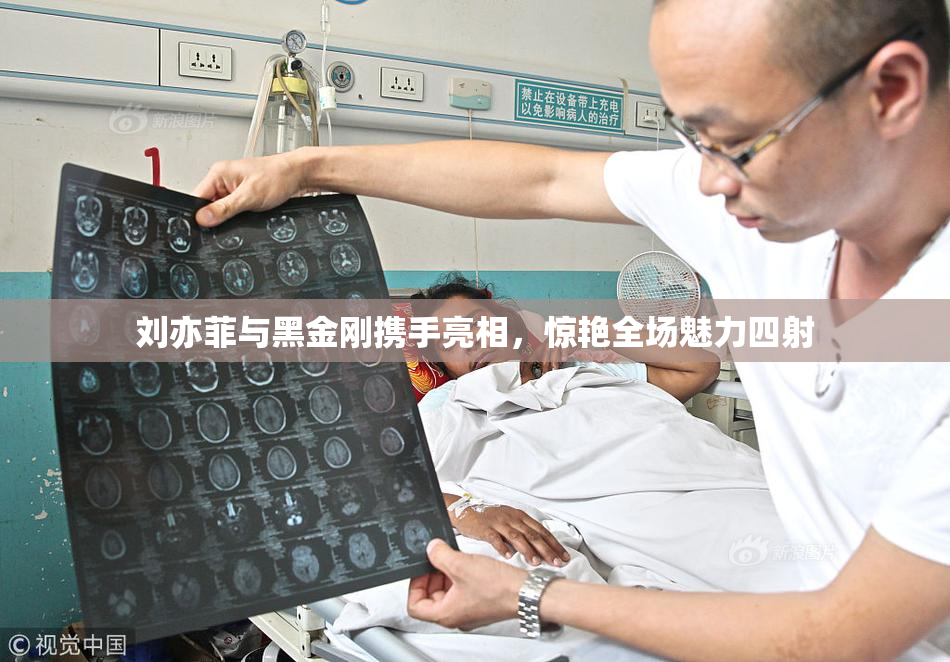 刘亦菲与黑金刚携手亮相，惊艳全场魅力四射