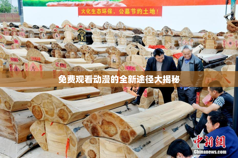 免费观看动漫的全新途径大揭秘