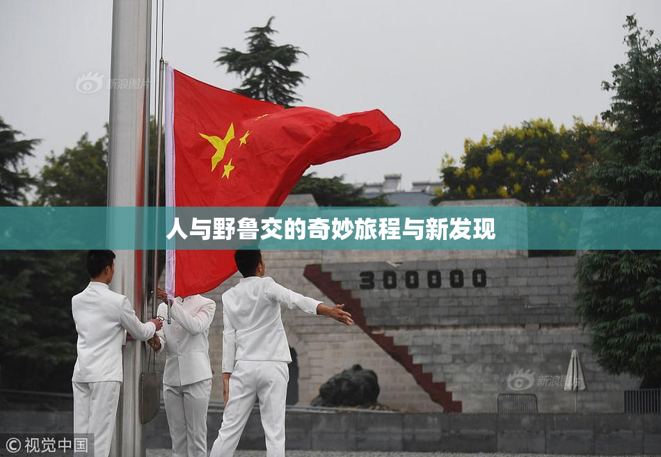 人与野鲁交的奇妙旅程与新发现