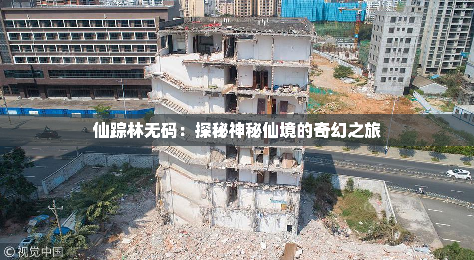 仙踪林无码：探秘神秘仙境的奇幻之旅