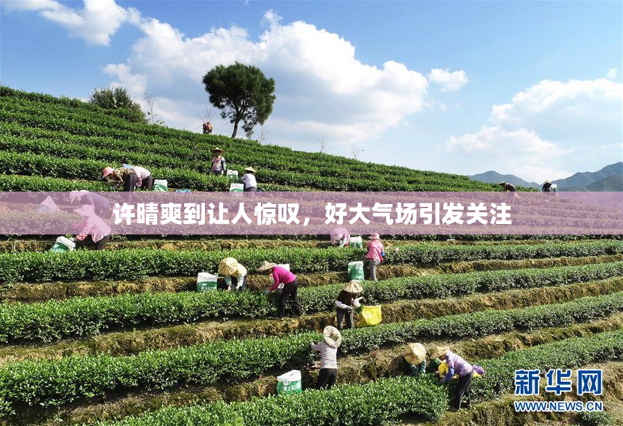 许晴爽到让人惊叹，好大气场引发关注