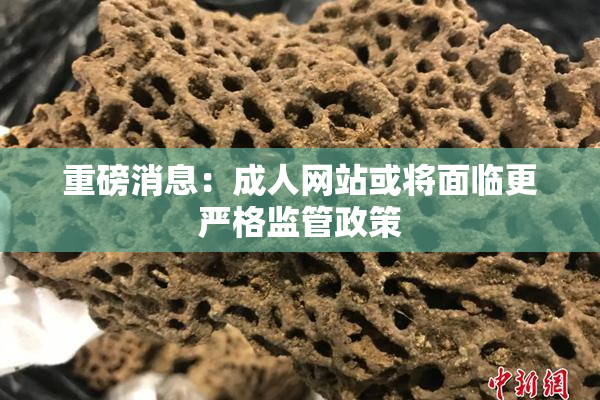 重磅消息：成人网站或将面临更严格监管政策