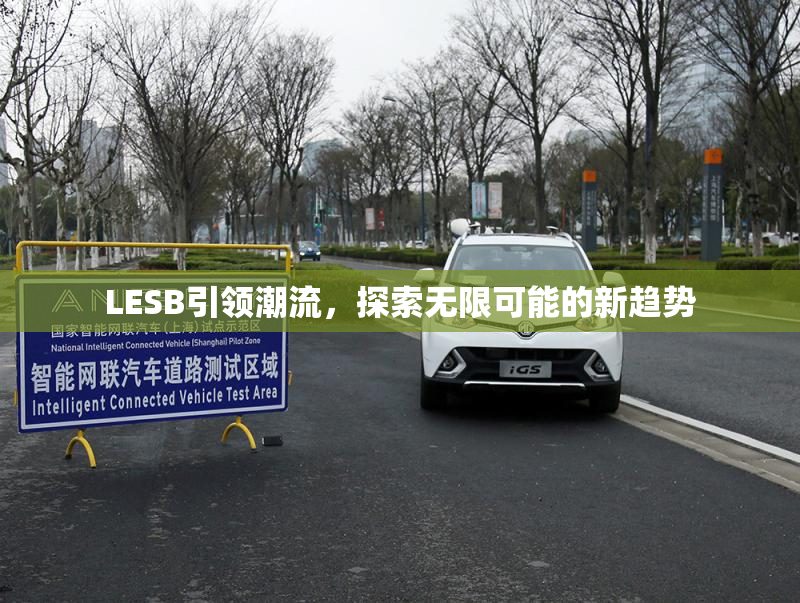 LESB引领潮流，探索无限可能的新趋势