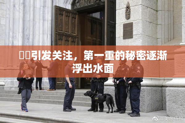 妺妺引发关注，第一重的秘密逐渐浮出水面
