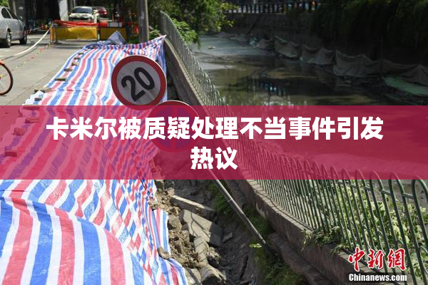 卡米尔被质疑处理不当事件引发热议
