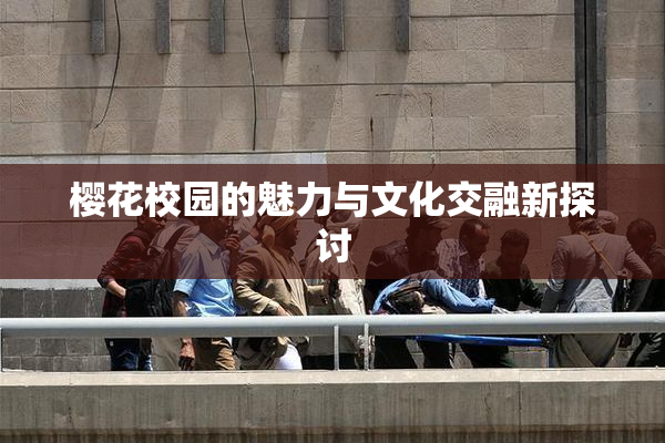 樱花校园的魅力与文化交融新探讨