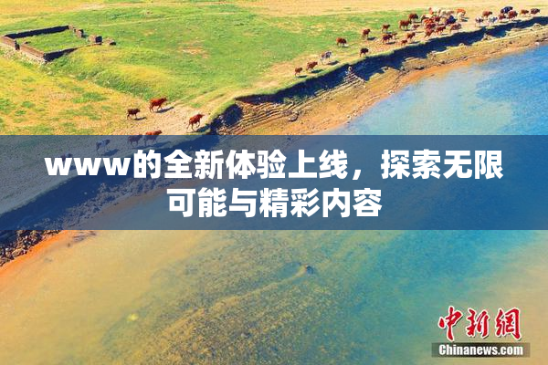 www的全新体验上线，探索无限可能与精彩内容