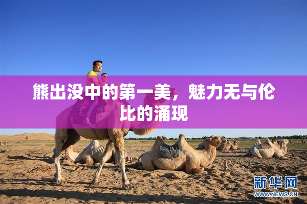 熊出没中的第一美，魅力无与伦比的涌现