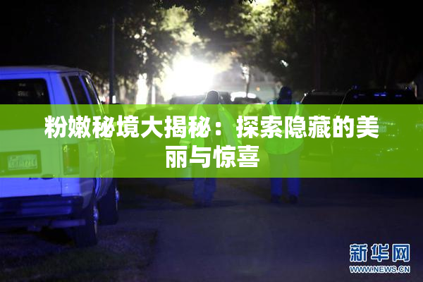 粉嫩秘境大揭秘：探索隐藏的美丽与惊喜