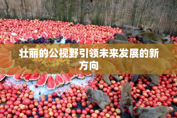 壮丽的公视野引领未来发展的新方向