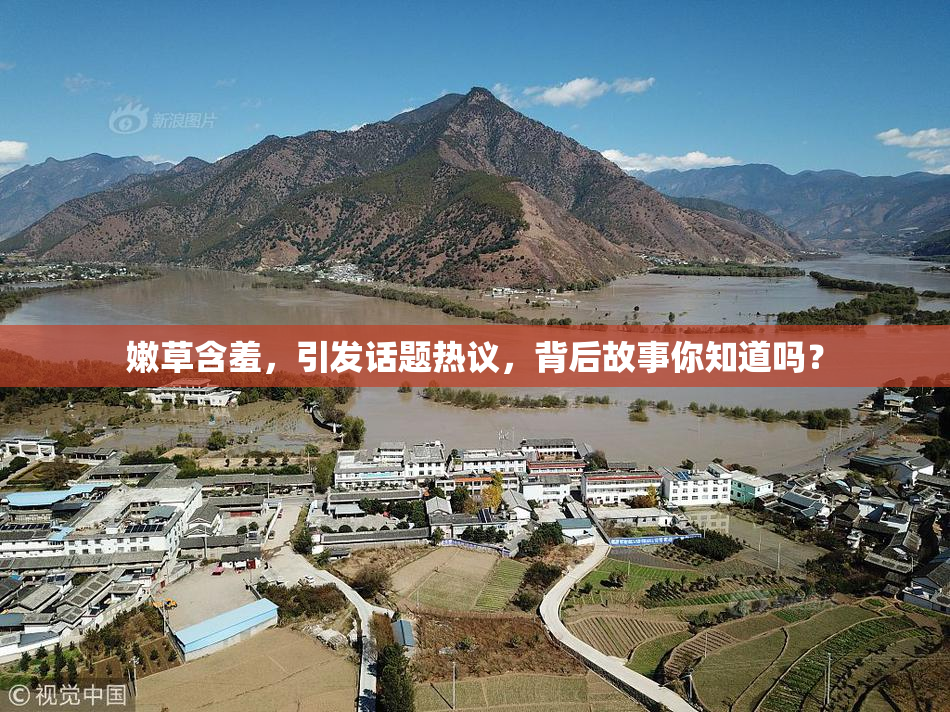 嫩草含羞，引发话题热议，背后故事你知道吗？