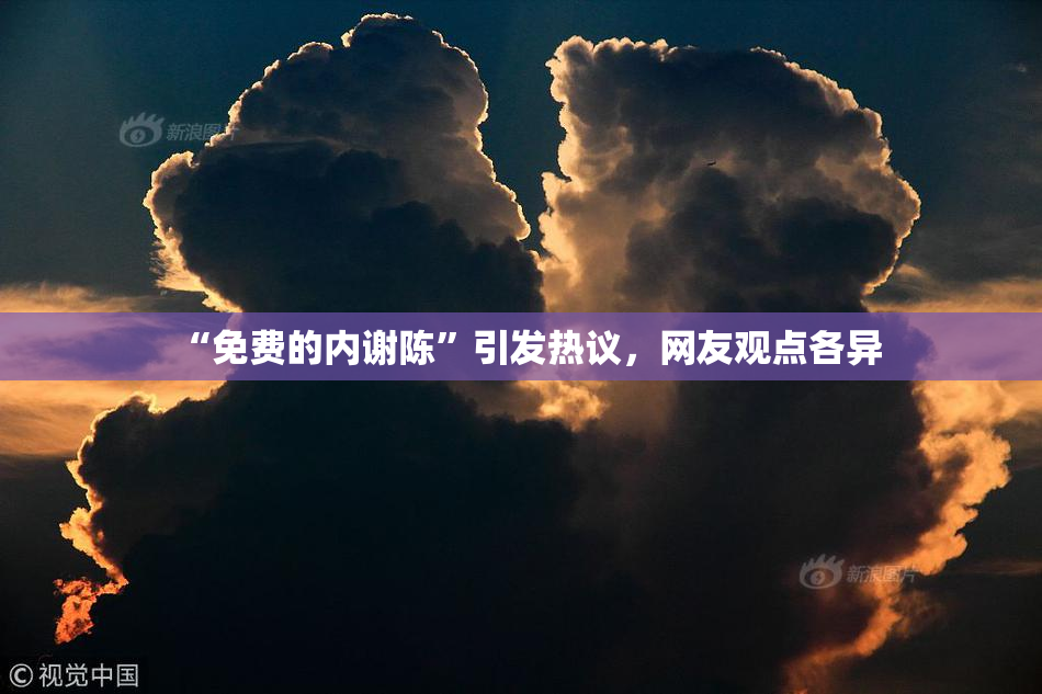 “免费的内谢陈”引发热议，网友观点各异