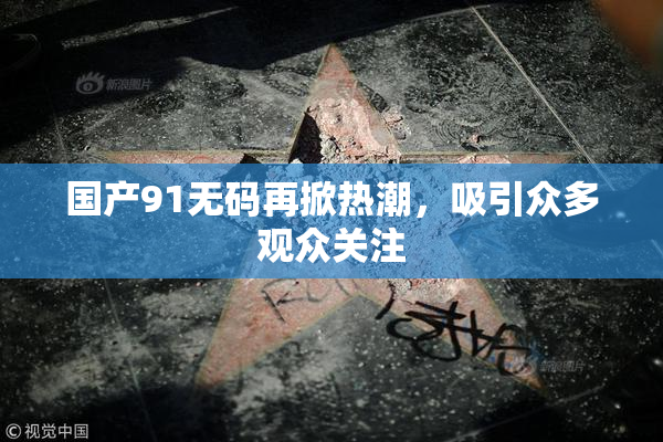 国产91无码再掀热潮，吸引众多观众关注