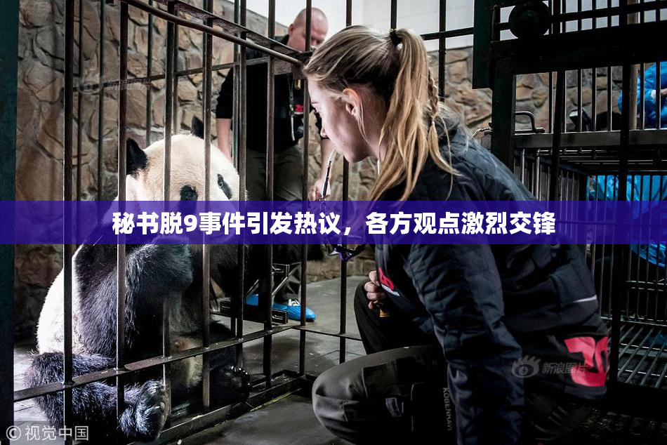 秘书脱9事件引发热议，各方观点激烈交锋