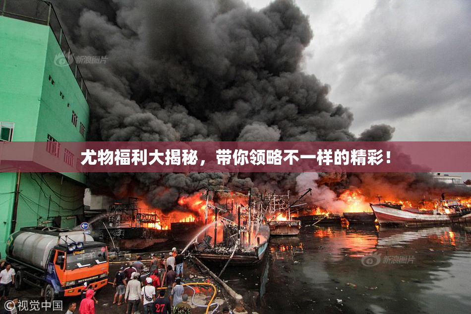 尤物福利大揭秘，带你领略不一样的精彩！