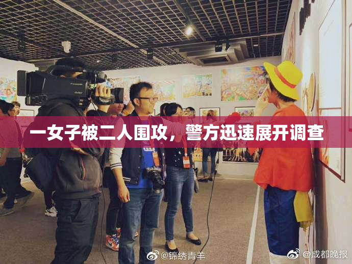 一女子被二人围攻，警方迅速展开调查