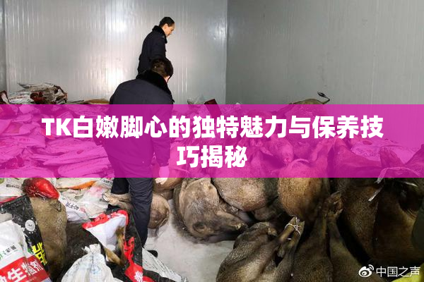 TK白嫩脚心的独特魅力与保养技巧揭秘