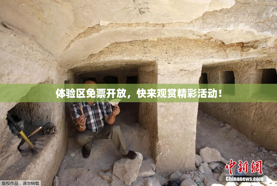 体验区免票开放，快来观赏精彩活动！