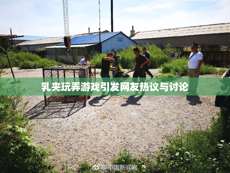 乳夹玩弄游戏引发网友热议与讨论