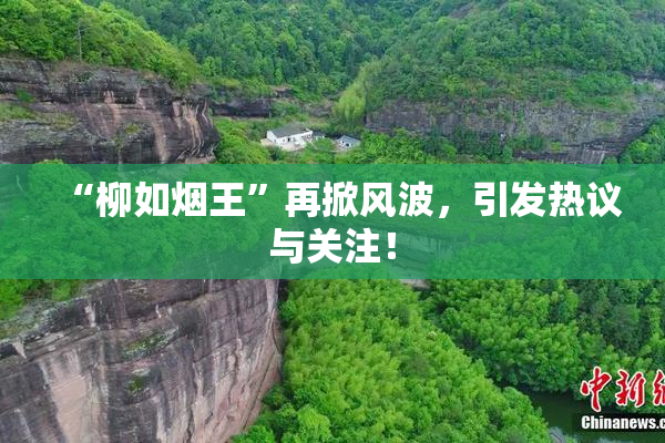 “柳如烟王”再掀风波，引发热议与关注！