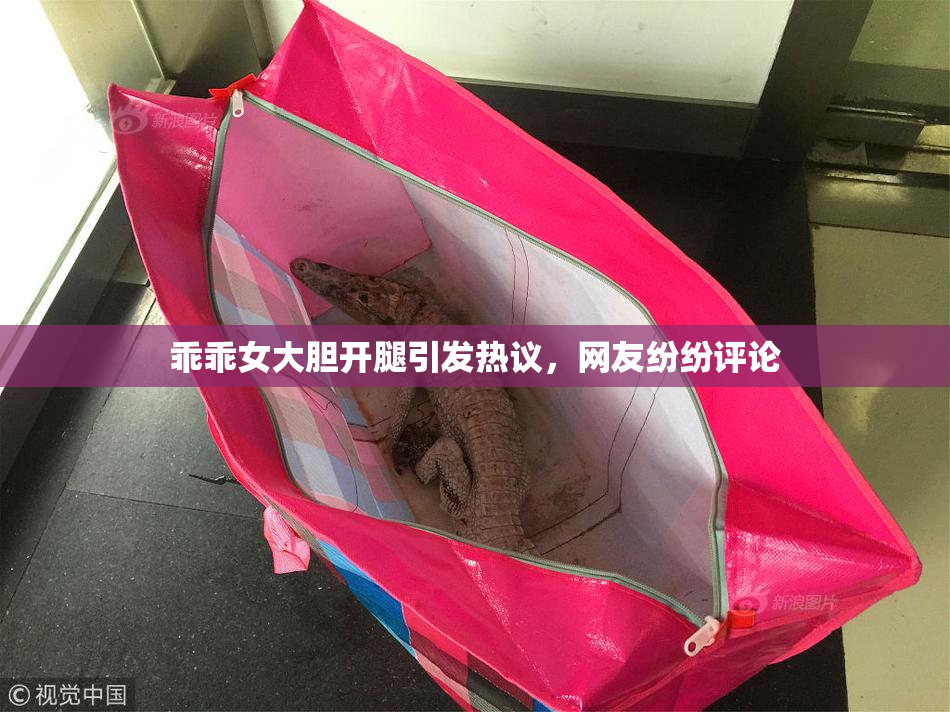 乖乖女大胆开腿引发热议，网友纷纷评论