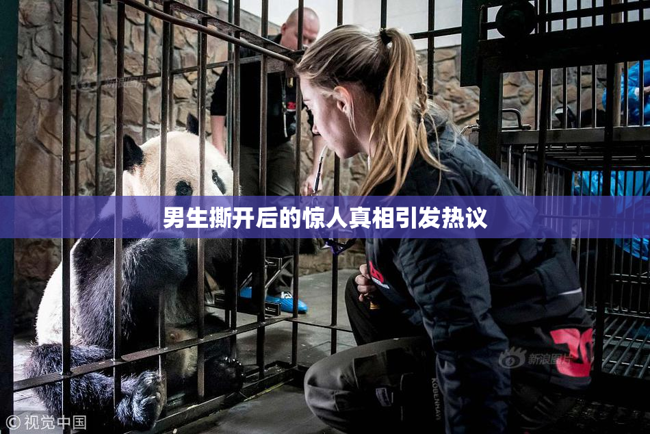 男生撕开后的惊人真相引发热议