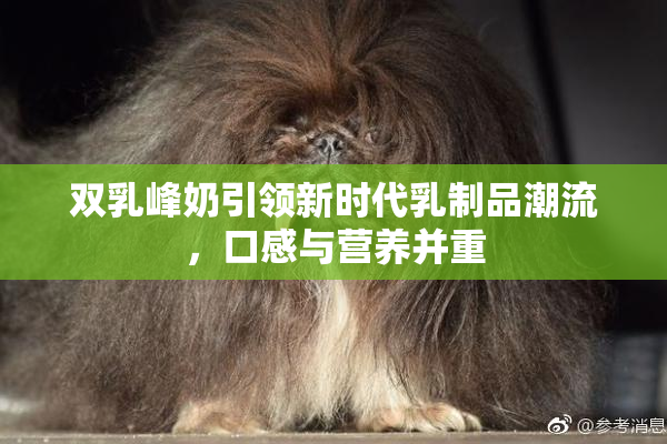 双乳峰奶引领新时代乳制品潮流，口感与营养并重