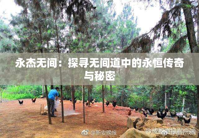 永杰无间：探寻无间道中的永恒传奇与秘密