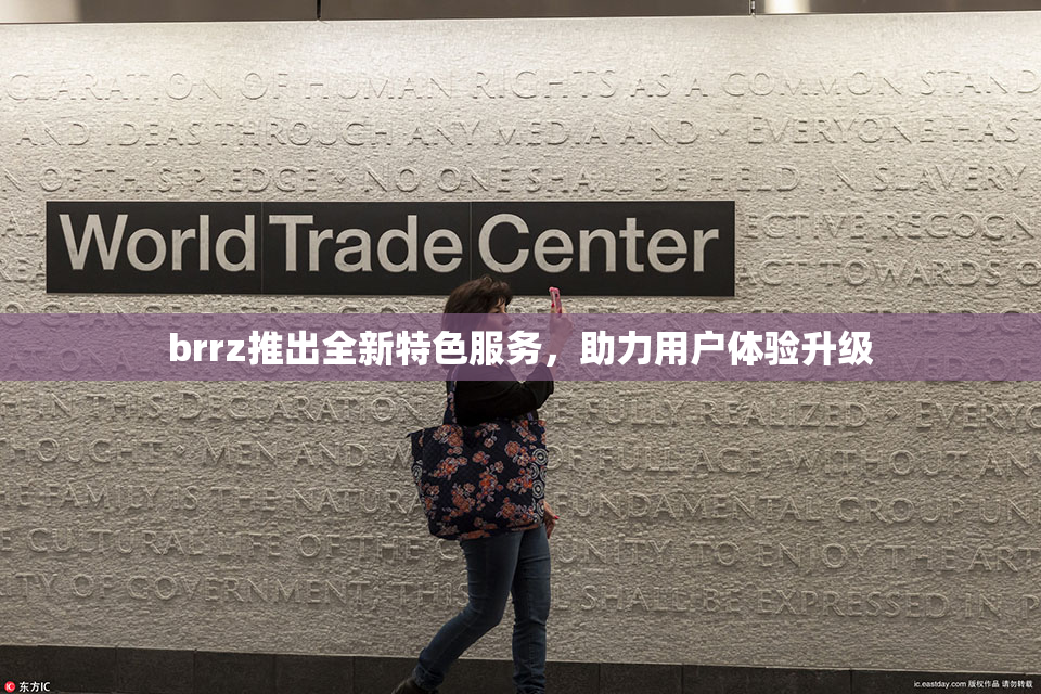 brrz推出全新特色服务，助力用户体验升级