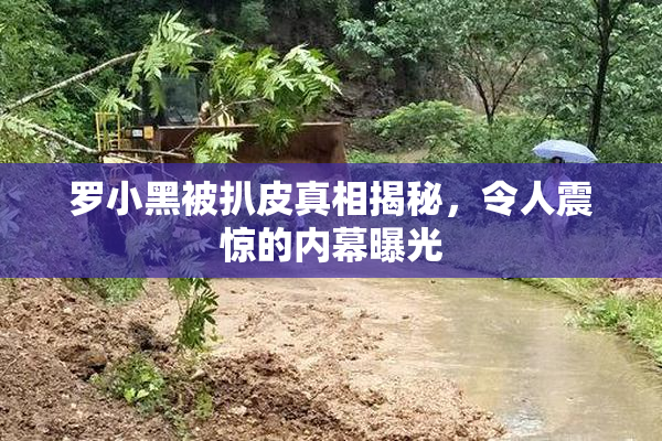 罗小黑被扒皮真相揭秘，令人震惊的内幕曝光