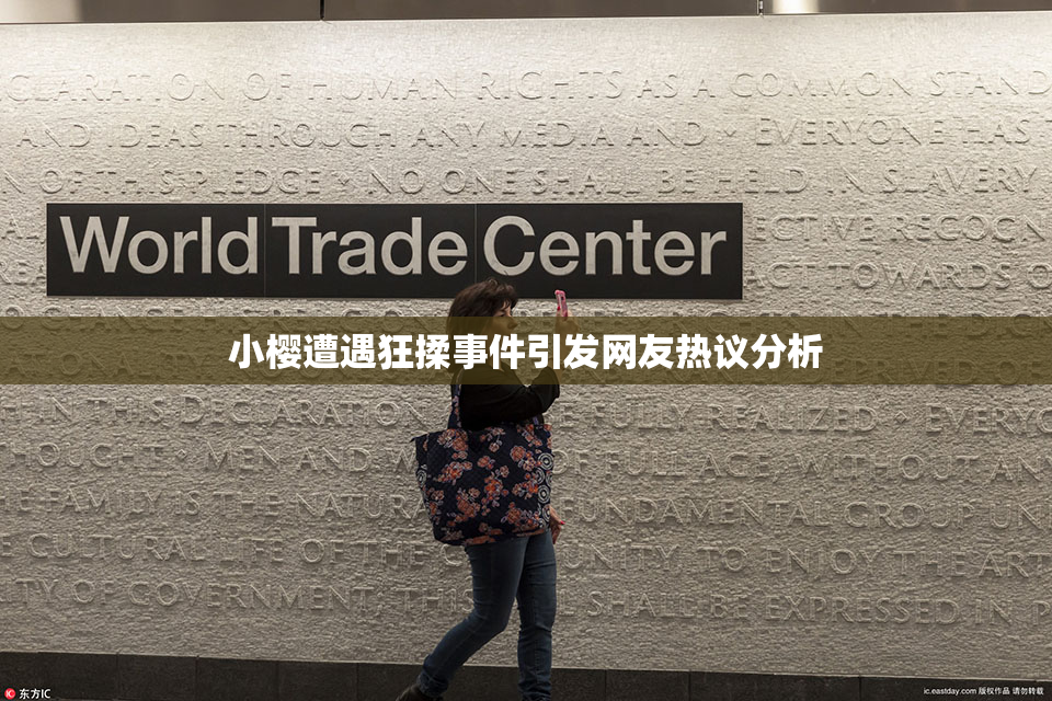 小樱遭遇狂揉事件引发网友热议分析