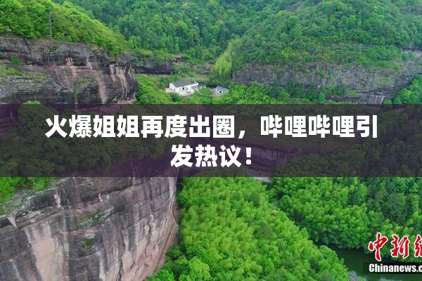 火爆姐姐再度出圈，哔哩哔哩引发热议！