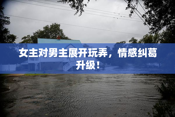 女主对男主展开玩弄，情感纠葛升级！