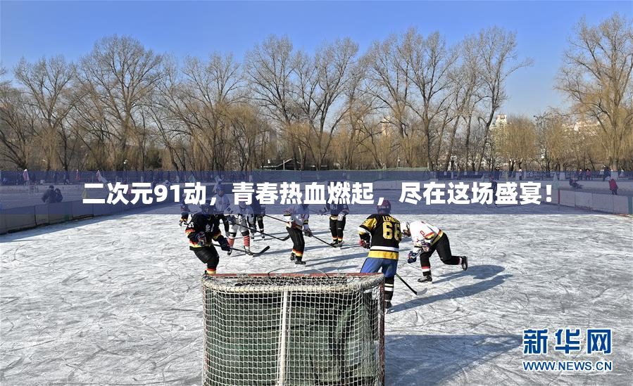二次元91动，青春热血燃起，尽在这场盛宴！
