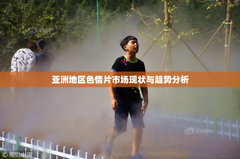 亚洲地区色情片市场现状与趋势分析