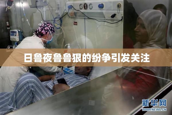 日鲁夜鲁鲁狠的纷争引发关注