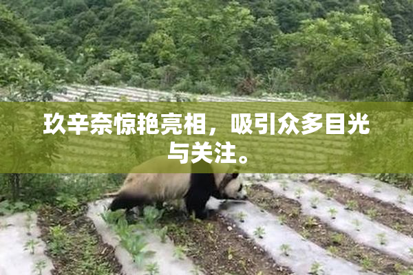 玖辛奈惊艳亮相，吸引众多目光与关注。